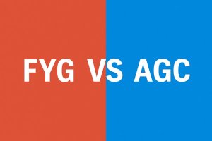 Какие автостекла лучше — FYG или AGC