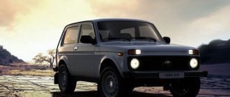 Niva model