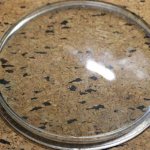 Прозрачная линза